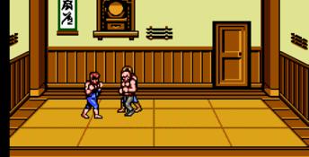 Double Dragon 3: The Sacred Stones NES Screenshot