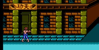 Double Dragon 3: The Sacred Stones NES Screenshot