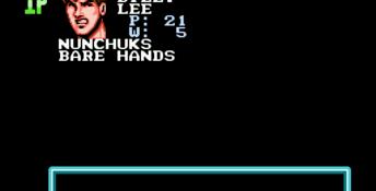Double Dragon 3: The Sacred Stones NES Screenshot