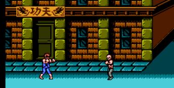 Double Dragon 3: The Sacred Stones NES Screenshot