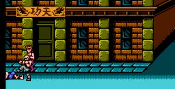Double Dragon 3: The Sacred Stones NES Screenshot