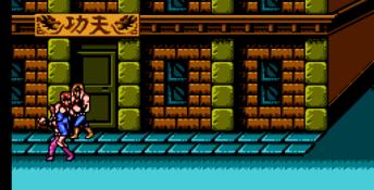 Double Dragon 3: The Sacred Stones NES Screenshot