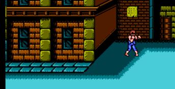 Double Dragon 3: The Sacred Stones NES Screenshot
