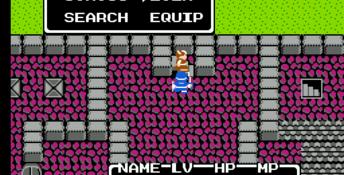 Dragon Warrior 2 NES Screenshot