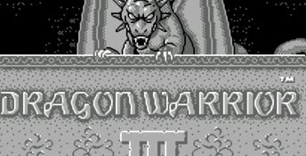 Dragon Warrior 3 NES Screenshot