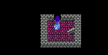 Dragon Warrior 3 NES Screenshot