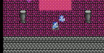 Dragon Warrior 3 NES Screenshot
