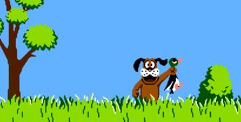 Duck Hunt