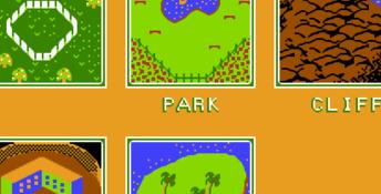 Dusty Diamond's All-Star Softball