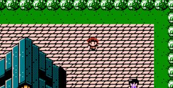 Faria: A World of Mystery and Danger NES Screenshot