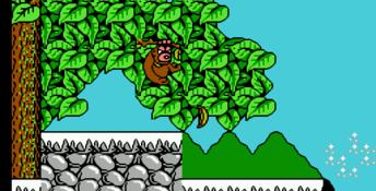 Hook NES Screenshot