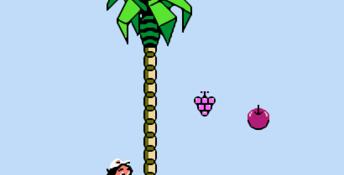 Adventure Island 3