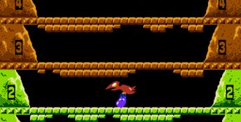 Ice Climber NES Screenshot