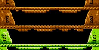 Ice Climber NES Screenshot