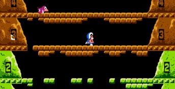 Ice Climber NES Screenshot
