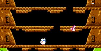 Ice Climber NES Screenshot