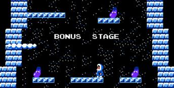 Ice Climber NES Screenshot