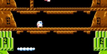 Ice Climber NES Screenshot