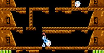 Ice Climber NES Screenshot