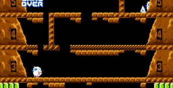 Ice Climber NES Screenshot