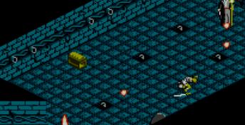 The Immortal NES Screenshot