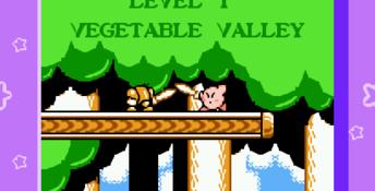Kirby's Adventure