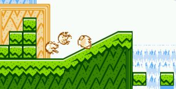 Kirby's Adventure NES Screenshot