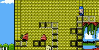 Kiwi Kraze NES Screenshot