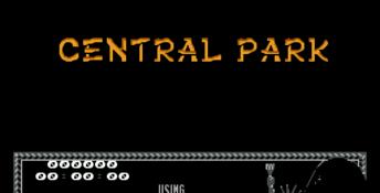 The Last Ninja NES Screenshot