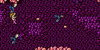 Legendary Wings NES Screenshot