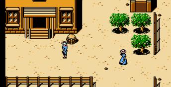 The Lone Ranger NES Screenshot