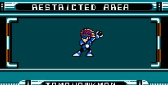 Mega Man 6
