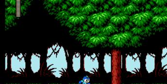 Mega Man 6 NES Screenshot