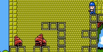 New Zealand Story NES Screenshot