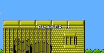 New Zealand Story NES Screenshot