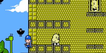 New Zealand Story NES Screenshot