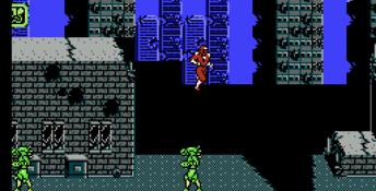 Ninja Crusaders NES Screenshot