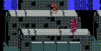 Ninja Crusaders NES Screenshot