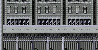Ninja Gaiden NES Screenshot