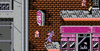 Ninja Gaiden NES Screenshot