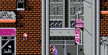 Ninja Gaiden NES Screenshot