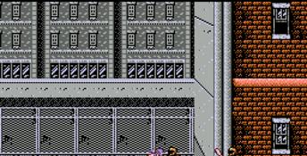 Ninja Gaiden NES Screenshot