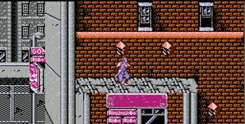 Ninja Gaiden NES Screenshot
