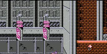 Ninja Gaiden NES Screenshot