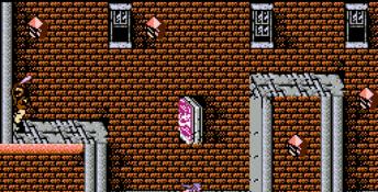 Ninja Gaiden NES Screenshot