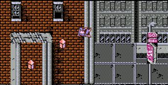 Ninja Gaiden NES Screenshot