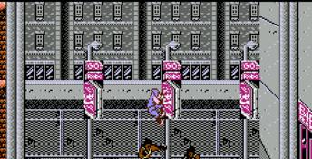 Ninja Gaiden NES Screenshot