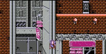 Ninja Gaiden NES Screenshot
