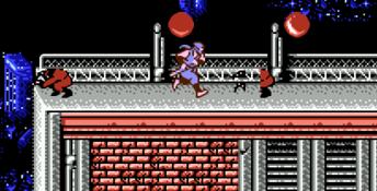 Ninja Gaiden 2: The Dark Sword of Chaos