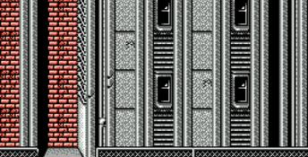 Ninja Gaiden 2: The Dark Sword of Chaos NES Screenshot